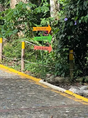 a street sign with arrows on the side of a road at Mountain Top Park Hotel in Manuel Antonio