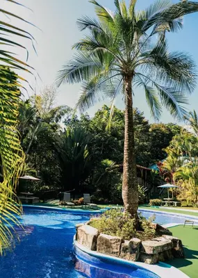 a palm tree in the middle of a swimming pool at Hotel y Restaurante El Páramo in San Rafael Norte