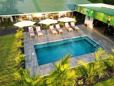 an overhead view of a swimming pool with chairs and umbrellas at Apartments Nauyaca in Platanillo