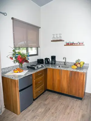 a kitchen with a sink and a counter top at Apartments Nauyaca in Platanillo
