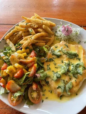 a plate of food with french fries and a fish with sauce at Hotel Sol Sámara in Sámara
