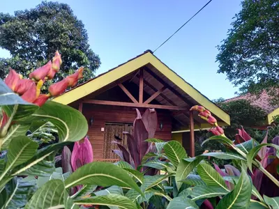 a house with a yellow roof and some plants at Selvita Lodge Arenal in Fortuna