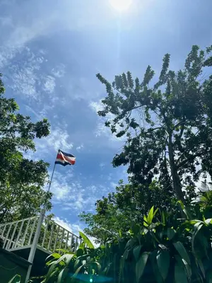 a flag flying in the sky next to some trees at B&B Garden Grecia in Grecia