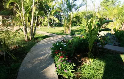 a path through a garden with flowers and palm trees at B&B Garden Grecia in Grecia