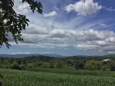 a field of green grass with a cloudy sky at B&B Garden Grecia in Grecia