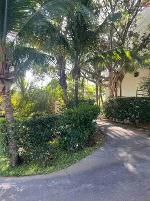 a street with palm trees and a building and a road at Beautiful beach front entire condo in Coco