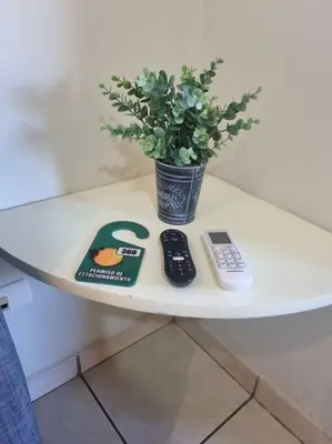 a table with two remote controls and a potted plant at Beautiful beach front entire condo in Coco