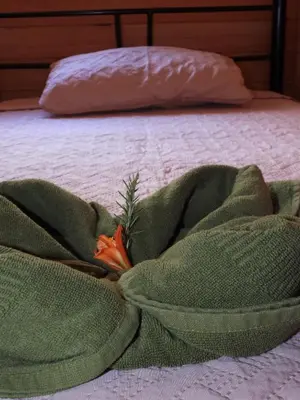 a green blanket with a carrot on a bed at Cabaña Paraíso Verde in Providencia