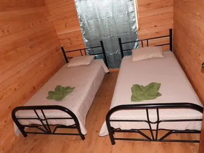 two beds in a room with wooden walls and wooden floors at Cabaña Paraíso Verde in Providencia