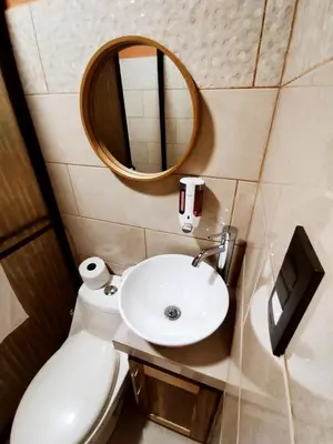 a bathroom with a toilet and a sink and a mirror at Arenal Palacios in Fortuna