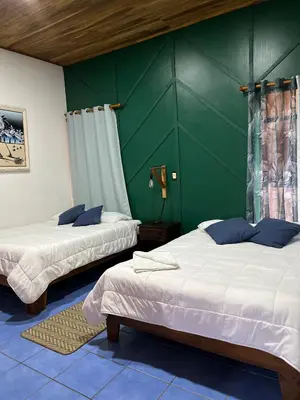 two beds in a room with a green wall at Monteverde Guesthouse in Monteverde Costa Rica