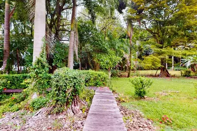 a wooden path in a park with palm trees at Casa Beluga in Uvita