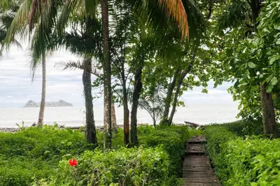 a path leading to the beach with palm trees at Casa Beluga in Uvita