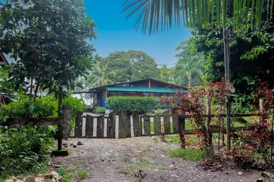 a house in the middle of a forest with a fence at Casa Beluga in Uvita