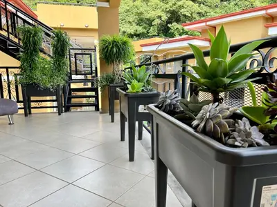 a row of potted plants on a balcony at Spacious Penthouse with pool & Jungle Views in La Mona