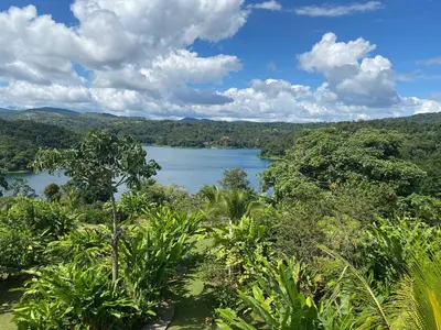 a view of a lake in the middle of a forest at The Fruit Tree Garden Bromeliad Suite in Nuevo Arenal