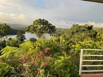 a view of a garden with a view of a lake at The Fruit Tree Garden Bromeliad Suite in Nuevo Arenal