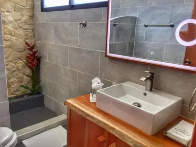 a bathroom with a sink and a shower at The Fruit Tree Garden Bromeliad Suite in Nuevo Arenal