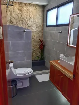 a bathroom with a toilet and a sink at The Fruit Tree Garden Bromeliad Suite in Nuevo Arenal