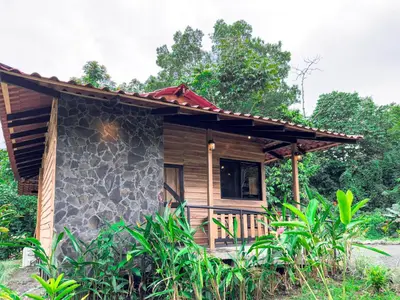 Gallery image of Green Forest Villa in Fortuna
