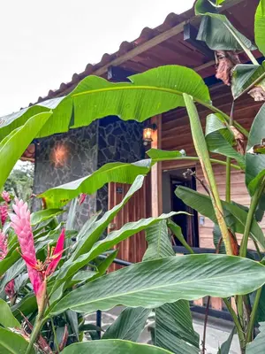 Gallery image of Green Forest Villa in Fortuna