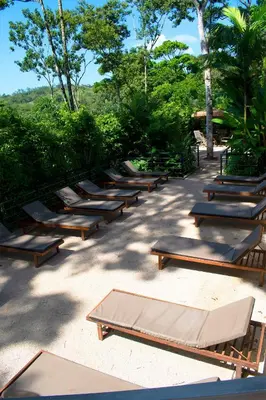 a row of chaise lounges on the ground at Palo Alto Glamping Hotel in Quesada