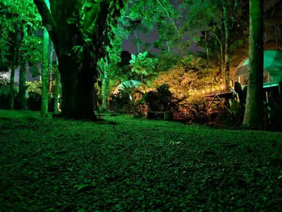 a park with trees and green grass and a building at Palo Alto Glamping Hotel in Quesada
