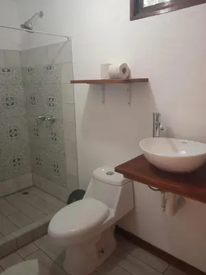 a bathroom with a white toilet and a sink at La Casona Eco-Lodge Tortuguero in Tortuguero