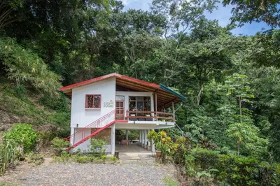 a house in the middle of a forest at Kiskadee Casa in Quepos