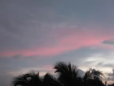 a cloudy sky with palm trees in the foreground at Arenal Vistas del Paraiso in Nuevo Arenal