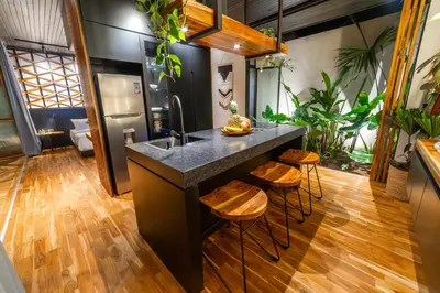 a kitchen with a sink and some plants at Danta Santa Lofts in Fortuna