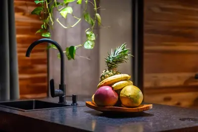a pile of fruit sitting on a counter next to a sink at Danta Santa Lofts in Fortuna
