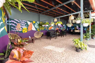 a room with a table and chairs and plants at Viva Guest House in San José