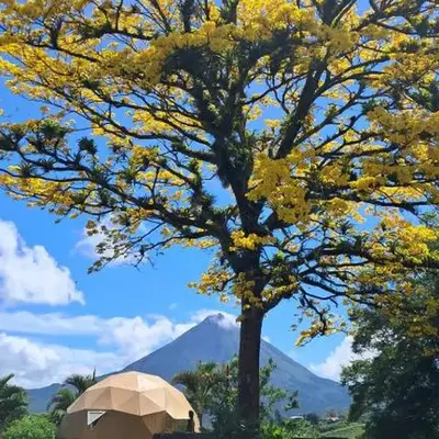 Pura Vista Glamping