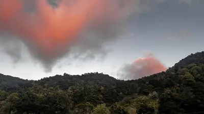 a rainbow in the sky over a forest of trees at Entre Árboles Lodge in San Gerardo de Dota