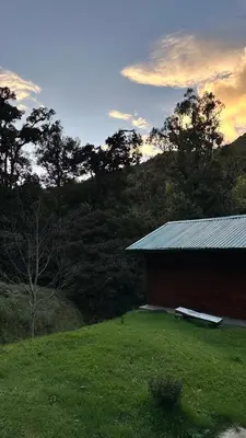 a building with a bench next to a grass field at Entre Árboles Lodge in San Gerardo de Dota