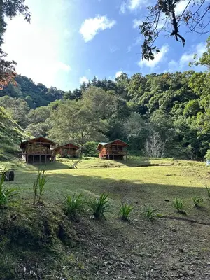 a group of cottages in a field with trees at Entre Árboles Lodge in San Gerardo de Dota
