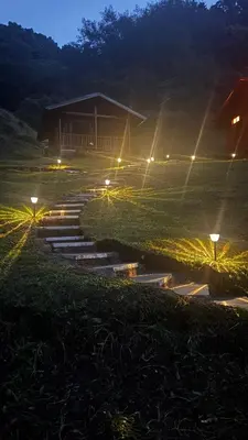 a set of stairs with lights in a field at night at Entre Árboles Lodge in San Gerardo de Dota