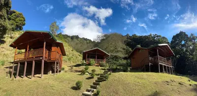 a couple of buildings on a hill with trees at Entre Árboles Lodge in San Gerardo de Dota