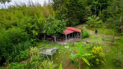 an aerial view of a garden with a house with a red roof at Cabaña La Montaña: Vistas increíbles y Mirador in Turrialba