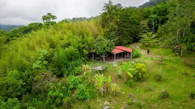 an aerial view of a cabin in the middle of a forest at Cabaña La Montaña: Vistas increíbles y Mirador in Turrialba