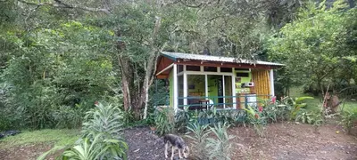 a small house with a cat standing in front of it at Casita Maripier Colón in Morado