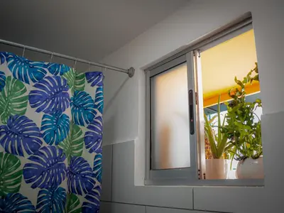a window with a curtain with a plant in it at Lolas Hostal Hab Individual 6 - 8 Baño compartido in San José