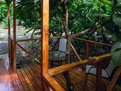 a wooden deck with a tree and two chairs at Río Celeste, Cacahua Lodge in Rio Celeste