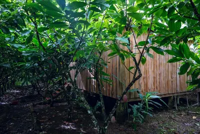 a wooden fence with a small tree next to it at Río Celeste, Cacahua Lodge in Rio Celeste