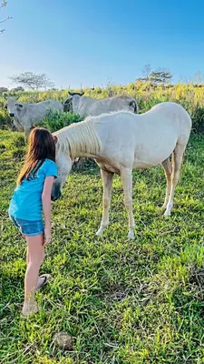 a young girl standing next to two white horses in a field at Río Celeste, Cacahua Lodge in Rio Celeste