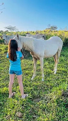 a little girl petting a white horse in a field at Río Celeste, Cacahua Lodge in Rio Celeste