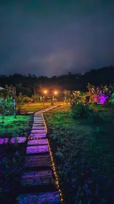 a walkway at night with purple lights on it at Flora Glamping de Abuela in Fortuna