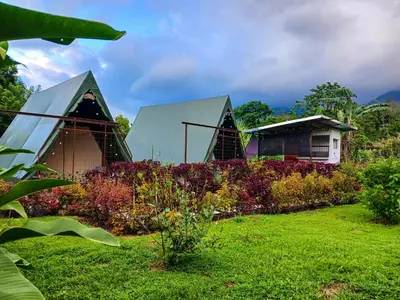 two domes in a garden with flowers at Flora Glamping de Abuela in Fortuna