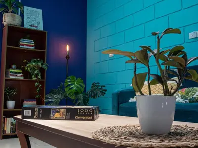 a table with a potted plant and a book at Lolas Hostal Hab Individual 2 Baño Compartido in San José